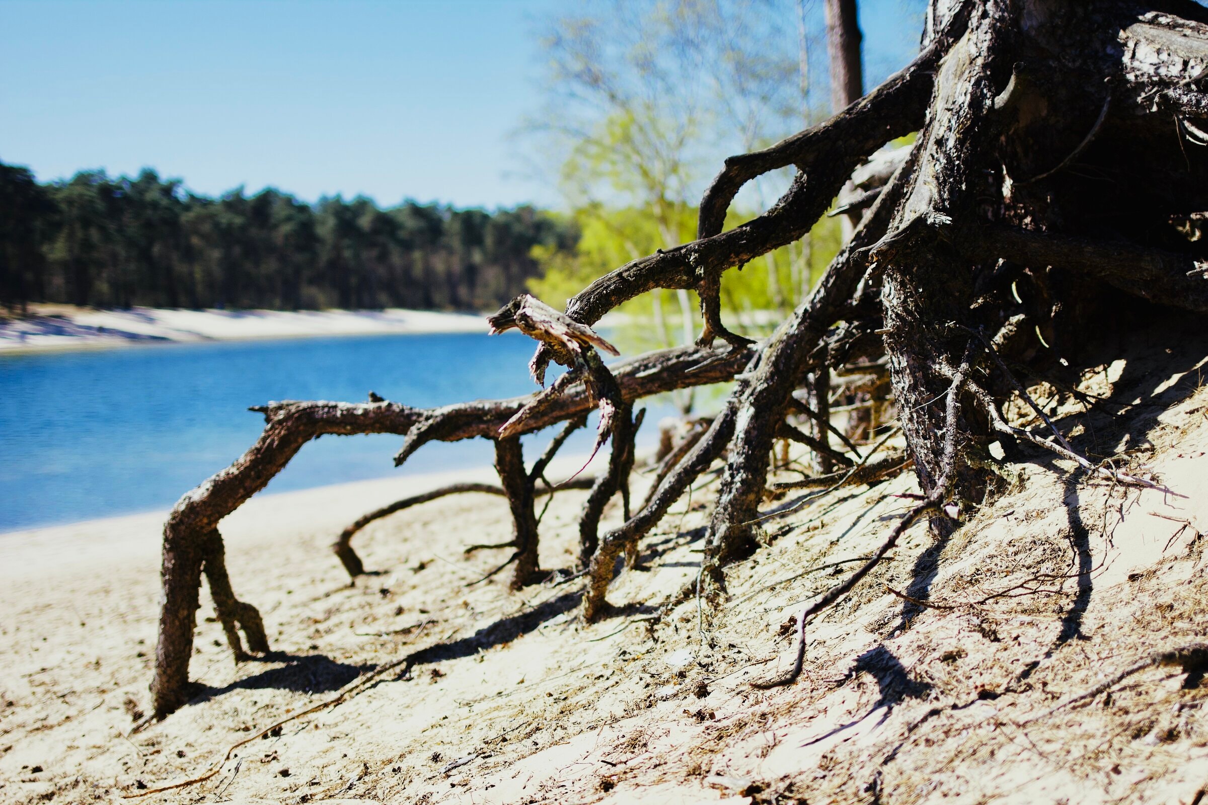 Henschotermeer, Netherlands