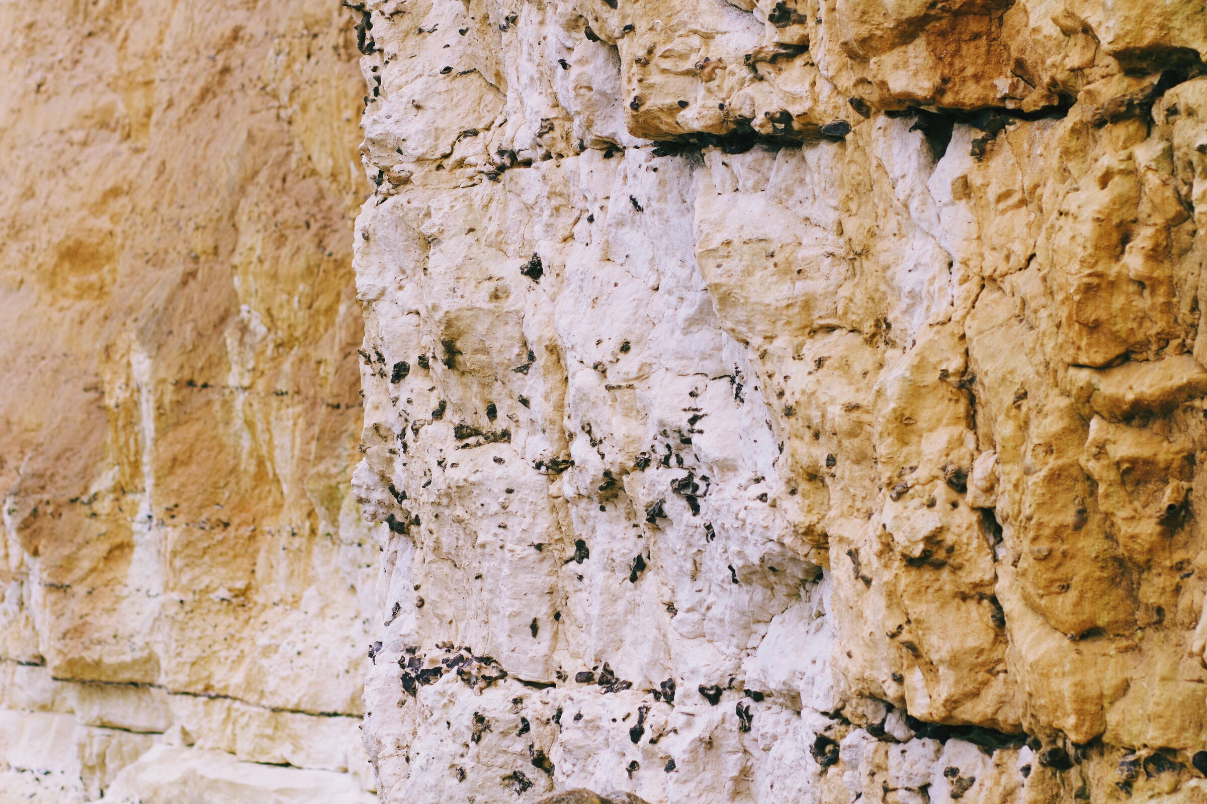 Saint Pierre en Port, France